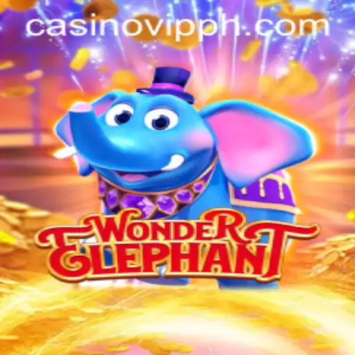 WonderElephant: Exploring the Expansive World and Rules of VIPPH